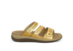 Sahara - Gold